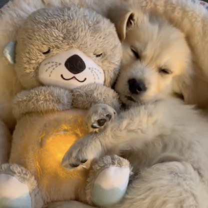 SlaapMaatje™| Het Ultieme Relaxmaatje!