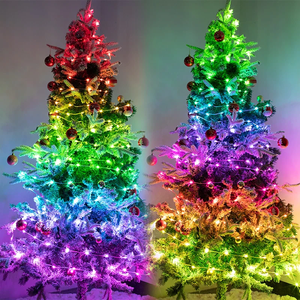 WinterWonder™ RGB Kerstverlichting | Brengt de Kerstsfeer tot Leven